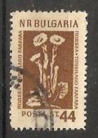 Bulgaria 1953  Medicinal Flowers  (o) Mi.882 - Usados