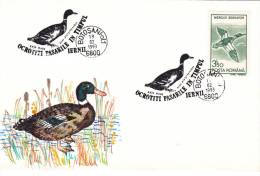 DUCKS, CYGNES, SPECIAL COVER, 1993, ROMANIA - Swans