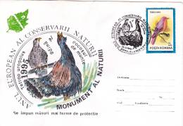 BIRDS, OISEAUX, SIALIA SIALIS, SPECIAL COVER, OBLIT CONC, 1995, ROMANIA - Gallinacées & Faisans