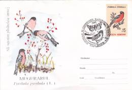 BIRDS, OISEAUX, PYRRHULA PYRRHULA, SPECIAL COVER, OBLIT CONC, 1994, ROMANIA - Gallinacées & Faisans