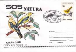 BIRDS, OISEAUX, ORIOLUS ORIOLUS, SPECIAL COVER, OBLIT CONC, 1995, ROMANIA - Gallinacées & Faisans