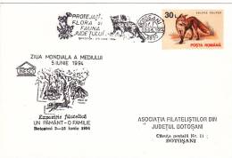 FOX, SPECIAL COVER, OBLIT CONC,  1994, ROMANIA - Lapins