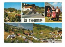 Suisse // Valais //  La Tzoumaz-Mayens De Riddes - Riddes