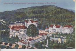 Litho Biberach Riss Luftbild Jordanbad Wasserheilanstalt Um 1910 - Biberach