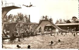 CP  ALLEMAGNE     OFFENBOURG      La   Piscine    (  Trés  Animée  ) - Offenburg