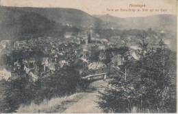 Litho Meiningen Partie Am Bibra-Berge Mit Blick Auf Die Stadt Feldpost 20.9.1916 - Meiningen