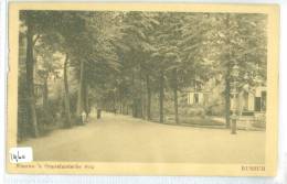 BUSSUM * NIEUWE 'S-GRAVELANDSCHE WEG * ANSICHTKAART * CPA * (1960) Gelopen In 1917 Vanaf NAARDEN  * NPVH Nr. 51 - Bussum