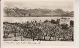 Wasserburg Bodensee Cafe Seeblick Im Frühling 19.8.1941 Sw - Wasserburg (Bodensee)