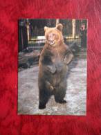 Brown Bear - Tallinn Zoo - Mini Card - 1989 - Estonia - USSR - Unused - Ours