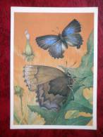 Ginsia Frivaldszky - Butterflies - 1986 - Russia - USSR - Unused - Papillons