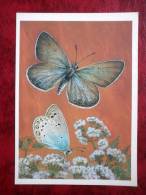 Lycaena Lucifera - Butterflies - 1986 - Russia - USSR - Unused - Papillons