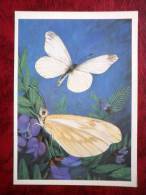 Fenton's Wood Whit - Leptidea Morsei - Butterflies - 1986 - Russia - USSR - Unused - Papillons