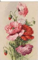 Carte Postale Fantaisie C.KLEIN - Bouquet  Coquelicot - FLEUR  - Illustrateur - VOIR 2 SCANS - - Klein, Catharina