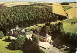 NATOYE-RELAIS PATRO-VUE AERIENNE DU CHATEAU - Hamois