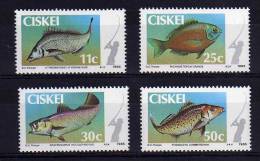 Ciskei - 1985 - Coastal Angling - MNH - Ciskei