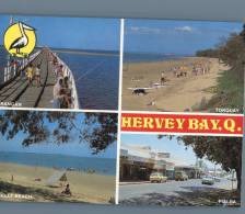 (343) Australia - QLD - Hervey Bay - Butterflies