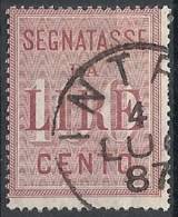 1884 REGNO USATO SEGNATASSE 100 LIRE - RR11485 - Portomarken