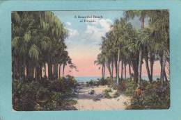 A  BEAUTIFUL  BEACH  OF  HAWAII  -  1917  - - Otros & Sin Clasificación