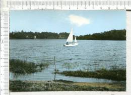 JUGON -  Les Bords De L Etang - Voilier - Jugon-les-Lacs