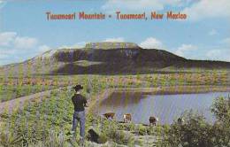 New Mexico Tucumcari Tucumcari Mountain - Andere & Zonder Classificatie
