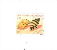 TIMBRE 1989 "POLYNESIE FRANCAISE "COQUILLAGES" - OBLITERE - Used Stamps