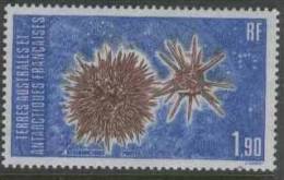 FRENCH ANTARCTICA 1986 Sea Urchin SG211 UNHM EY433 - Ungebraucht