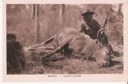 BANTING TAUREAU SAUVAGE (CHASSEUR ET TROPHEE BEAU PLAN) - Malaysia