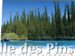 (631) New Caledonia - Nouvelle Calédonie - Ile Des Pins - Nouvelle-Calédonie