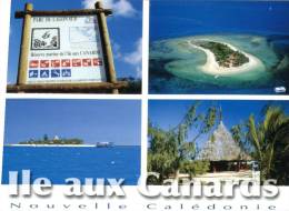 (631) New Caledonia - Nouvelle Calédonie - Ile Aux Canards - Nieuw-Caledonië