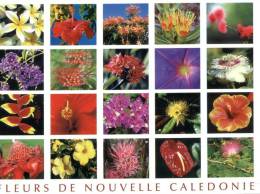 (631) New Caledonia - Nouvelle Calédonie - Mix Flowers Views - Nieuw-Caledonië