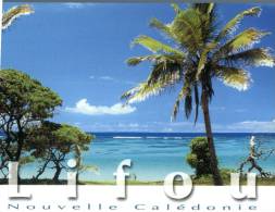 (631) New Caledonia - Nouvelle Calédonie - Lifou Island - Nouvelle-Calédonie