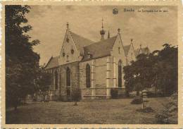 Binche :  La Collégiale Vue Du Parc  (  Grand Format ) - Binche