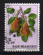 SAN MARINO - 1973 YT 842 USED - Used Stamps