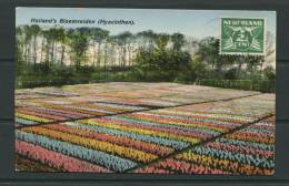 Netherlands 1929 Postal Card   To Estonia Kuressaare  Blooming Flowers - Cartas & Documentos