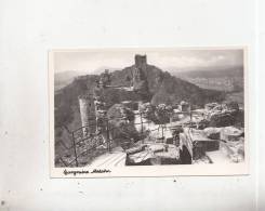 BT2416 Burgruine Alsdahn   2 Scans - Dahn