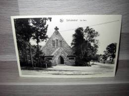 Schotenhof - De Kerk - Schoten