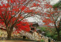 Whole Sights Of Pulkuk-sa Temple In Kyongju - Korea (Zuid)