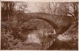 C1900 HAWICK - HORNE'S HOLE - Roxburghshire