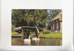 ZS36217 Giethoorn Uniek Europees Waterdorp Swan Cygne    2 Scans - Giethoorn