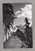 39282    Svizzera,  Le  Sentier  De   Salvan A Van Et  A Salanfe Les Dts. De  Morcles,  VG  1963 - Salvan