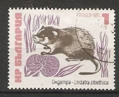 Bulgaria 1973  Animals  (o) Mi.2248 - Gebraucht