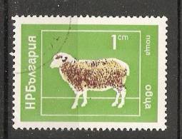 Bulgaria 1974  Domestic Animals  (o) Mi.2319 - Used Stamps