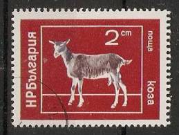 Bulgaria 1974  Domestic Animals  (o) Mi.2320 - Used Stamps