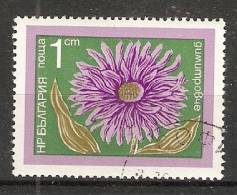 Bulgaria 1974  Flowers  (o) Mi.2345 - Used Stamps