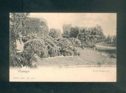 Nimegue - Nymegen - Nijmegen - Kronenburgerpark  (Vivat 3248) - Nijmegen