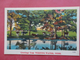 Greetings From Weeping Water  NE     Not Mailed     --- Ref 953 - Autres & Non Classés