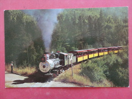 Narrow Gauge Train On Way To Oblivion Near Hill City SD  Not Mailed  Ref  953 - Altri & Non Classificati