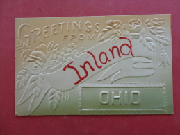 Embossed Greetings From Inland Ohio Not Mailed  Ca 1910   Ref  953 - Otros & Sin Clasificación