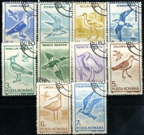 1991 Seabirds (definitives),Romania,Mi. 4642-4651,VFU - Gebruikt