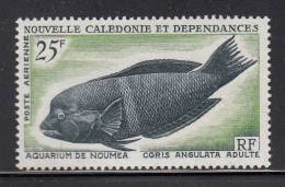 New Caledonia MNH Scott #C43 25fr Coris Angulata - Adult Fish - Ungebraucht